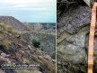 Image 13: Sulfuric, Lithosolic, Spolic, Anthroposol soil profile in the Bowen Basin, Queensland.