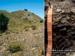 Image 14: Rudosolic, Spolic, Anthroposol soil profile in the Bowen Basin, Queensland.
