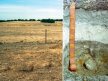 Image 15: Post Acid Sulfate Soil. Eutrophic, Mottled-Hypernatic, Grey, Sodosol soil profile in the South East of South Australia.