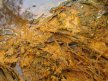 Image 20: Sulfuric Soil in  Burnt Creek near Dunolly, Victoria.