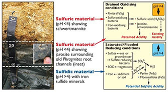 See the Sulfuric Acids process. Full description linked below.